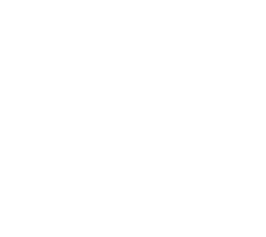 GLYPHOSATE 41% SL